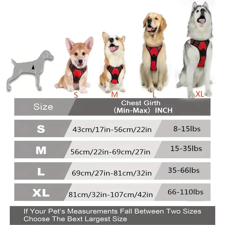 Dog Collar Harness Leash Set | Vest Puppy Accessories Small Medium Dogs USA