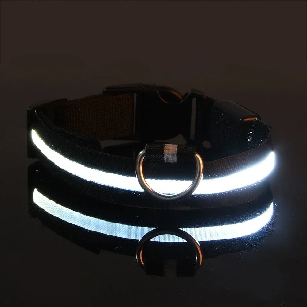 Dog Collar Nylon LED Night Safety Flashing Glow In The Dark Pet Dog Leash pet Dogs