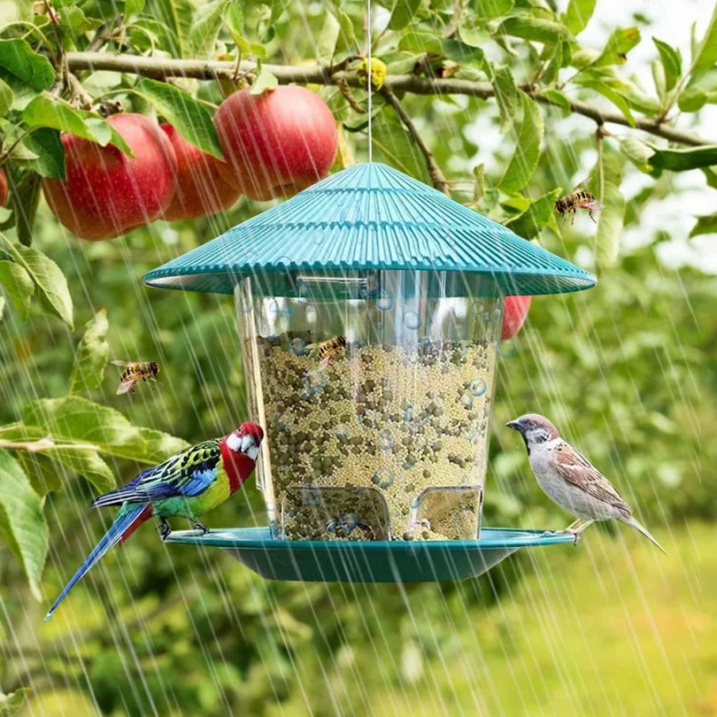 Bird Feeder Automatic Foot Feeding Tool Outdoor Bird Feeder Hanging Nut Feeding