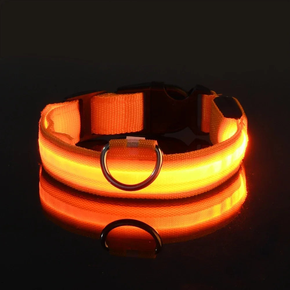 Dog Collar Nylon LED Night Safety Flashing Glow In The Dark Pet Dog Leash pet Dogs