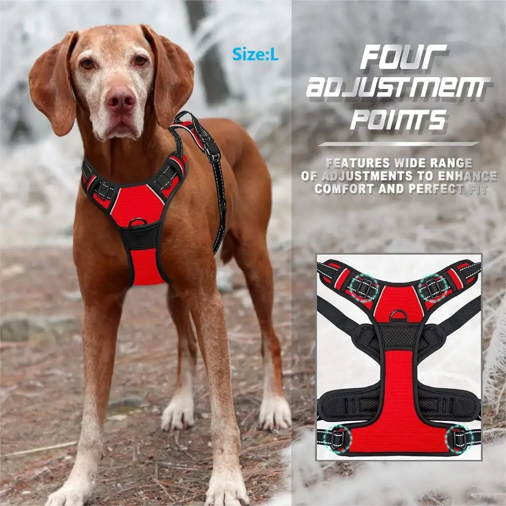 Dog Collar Harness Leash Set | Vest Puppy Accessories Small Medium Dogs USA