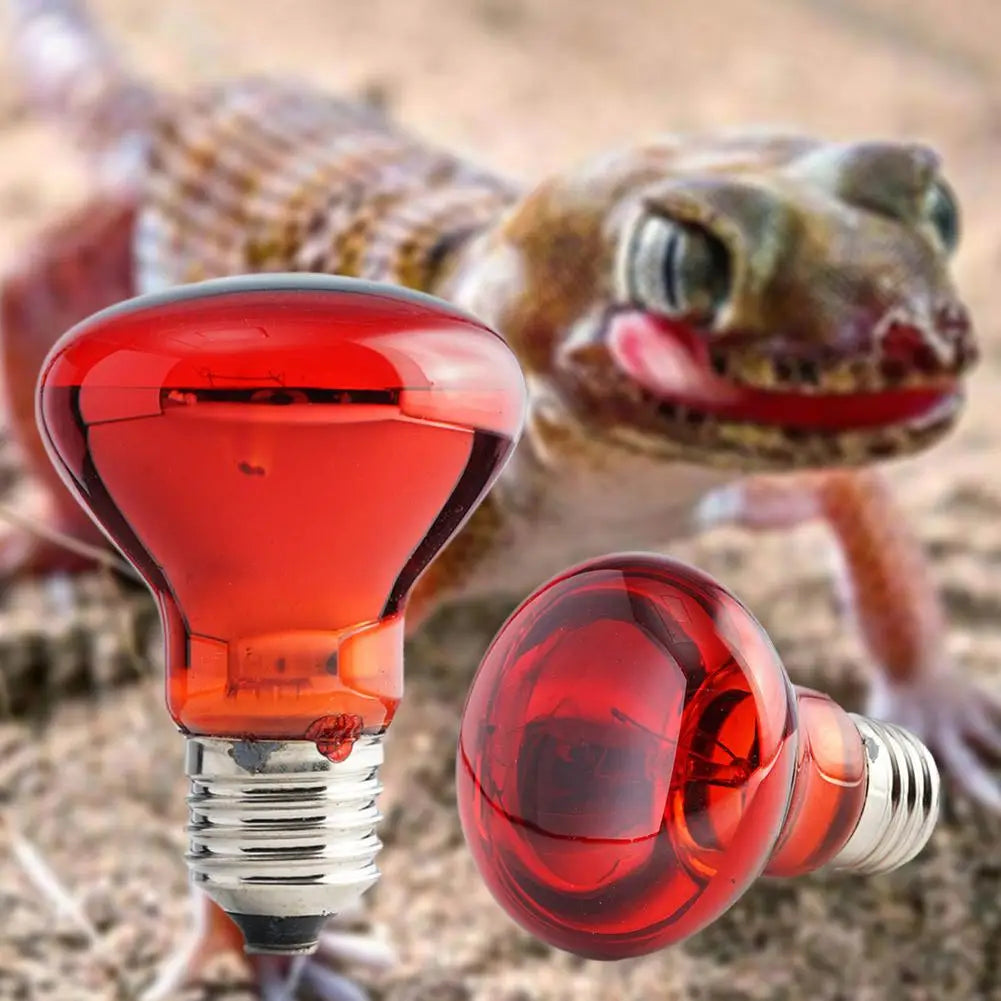 E27 Poultry Heating Bulb 25W-100W Infrared Insulation Heating For Reptiles Plants