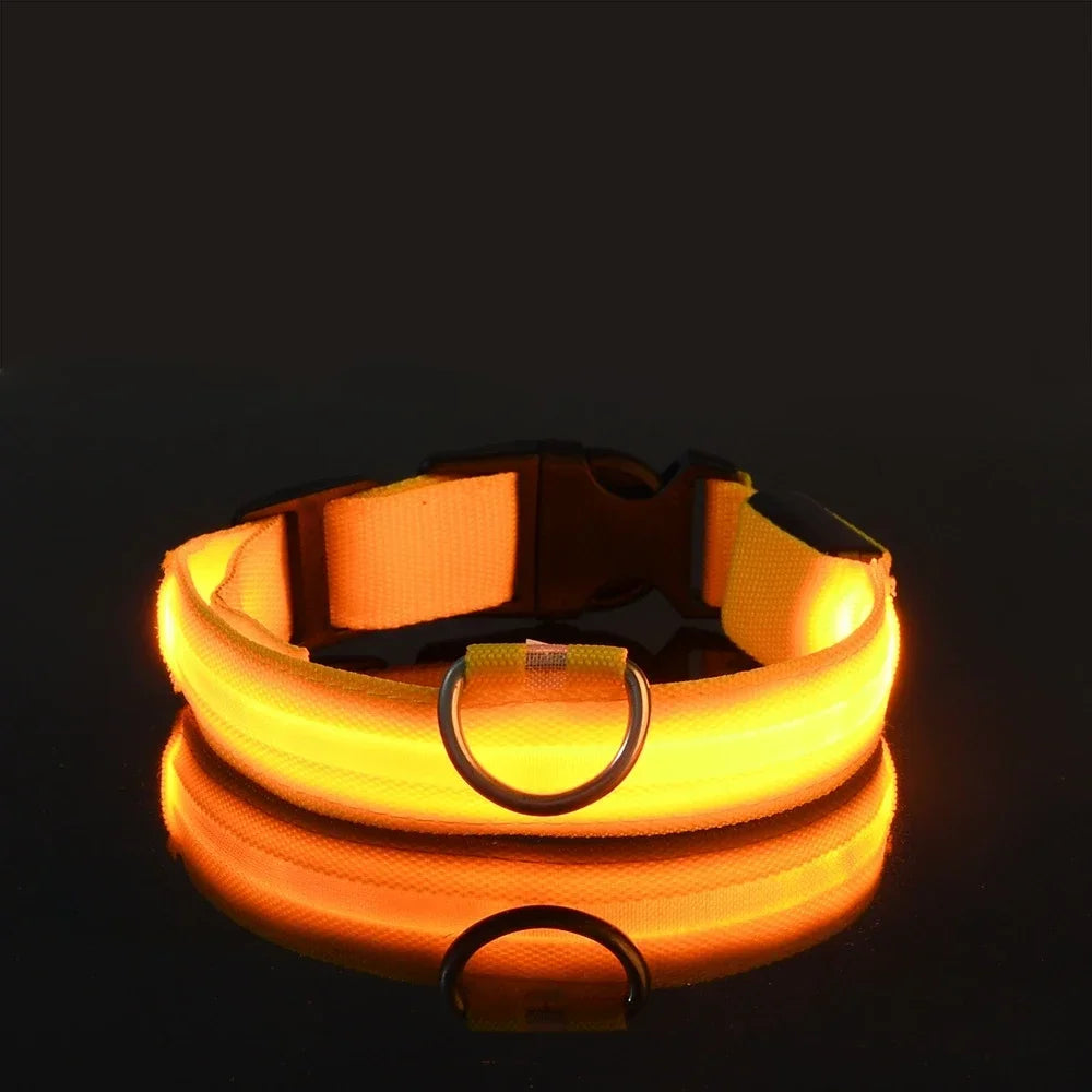 Dog Collar Nylon LED Night Safety Flashing Glow In The Dark Pet Dog Leash pet Dogs