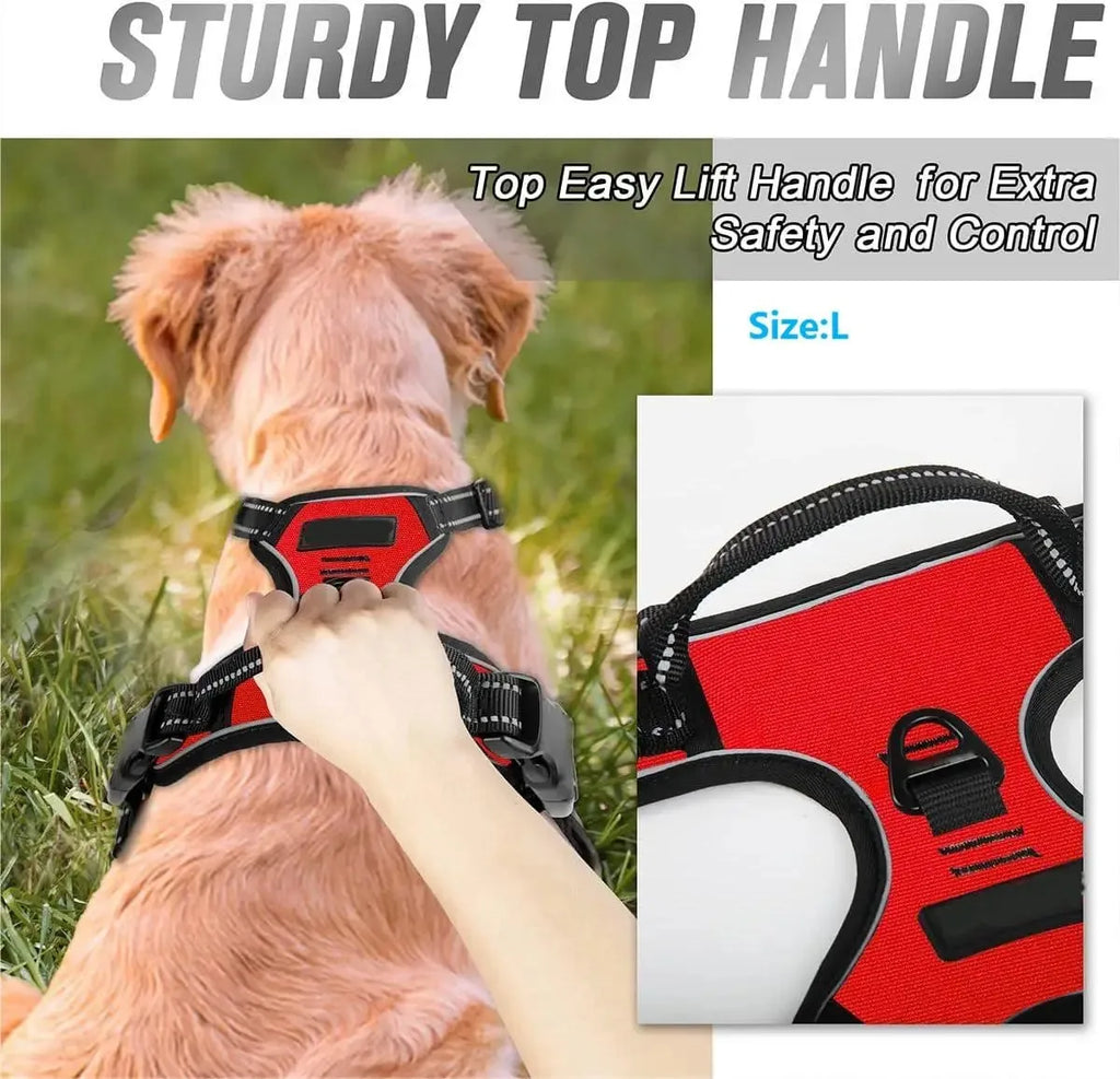 Dog Collar Harness Leash Set | Vest Puppy Accessories Small Medium Dogs USA