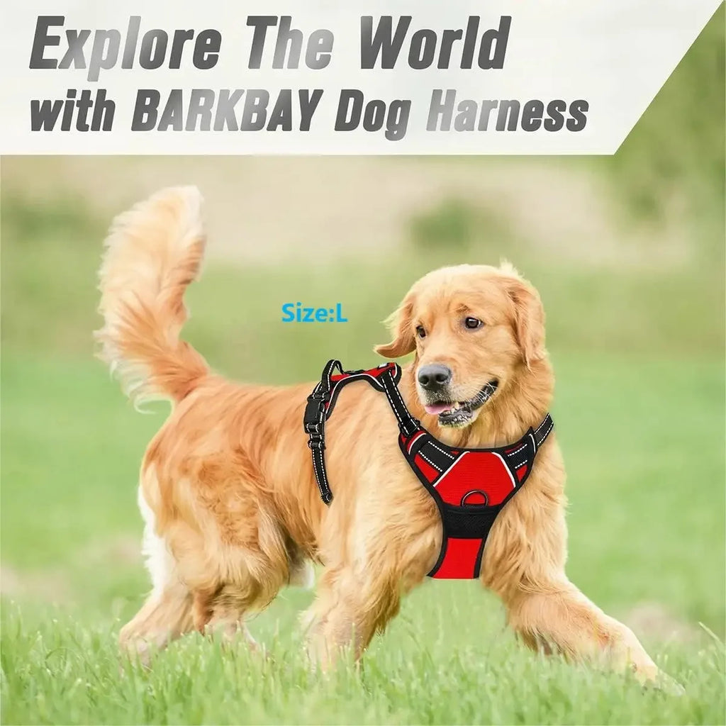 Dog Collar Harness Leash Set | Vest Puppy Accessories Small Medium Dogs USA