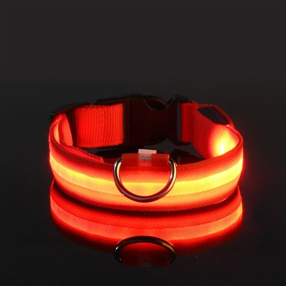 Dog Collar Nylon LED Night Safety Flashing Glow In The Dark Pet Dog Leash pet Dogs