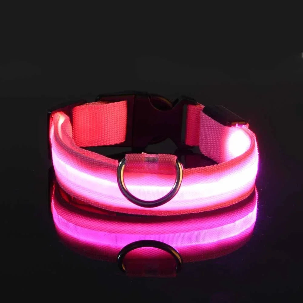 Dog Collar Nylon LED Night Safety Flashing Glow In The Dark Pet Dog Leash pet Dogs