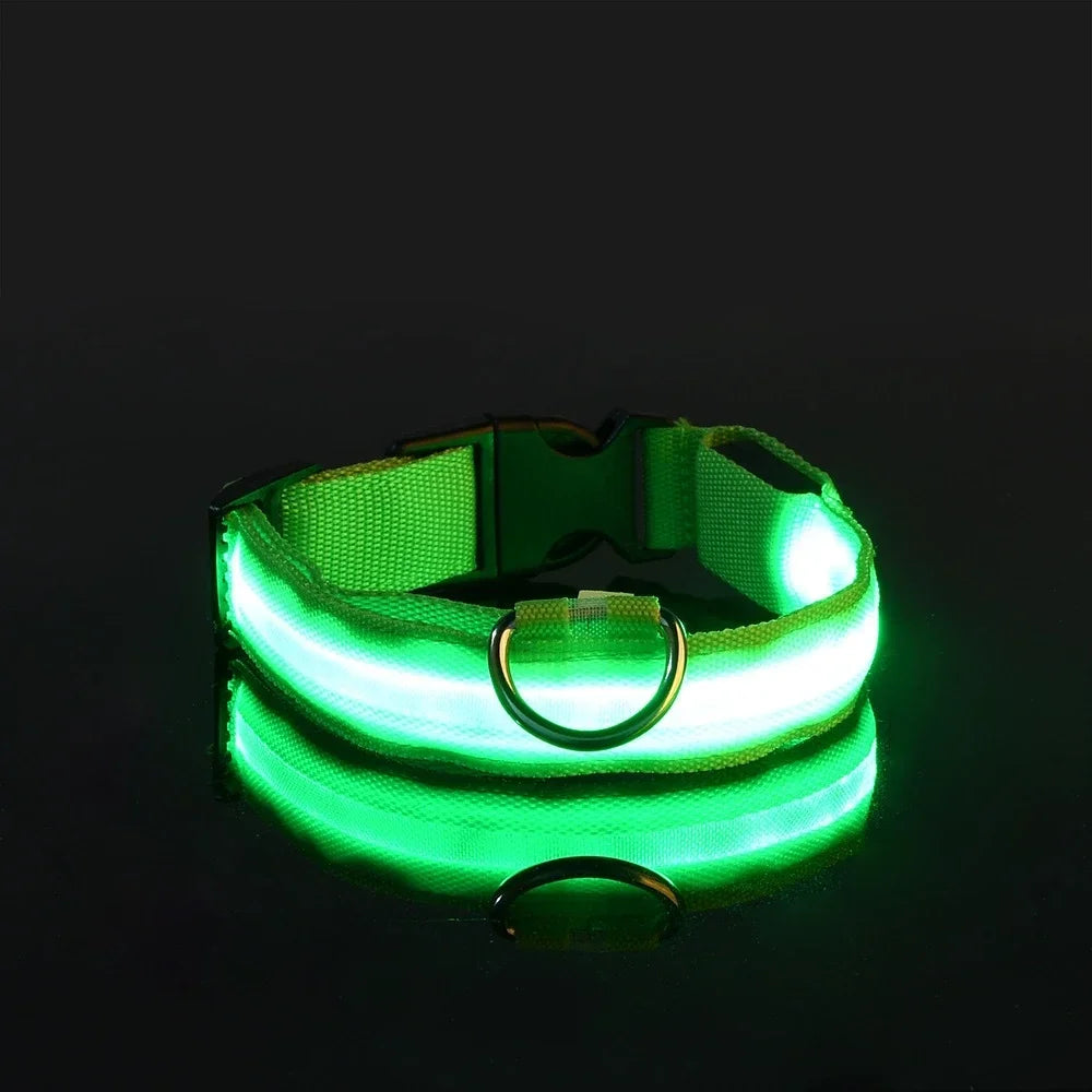 Dog Collar Nylon LED Night Safety Flashing Glow In The Dark Pet Dog Leash pet Dogs