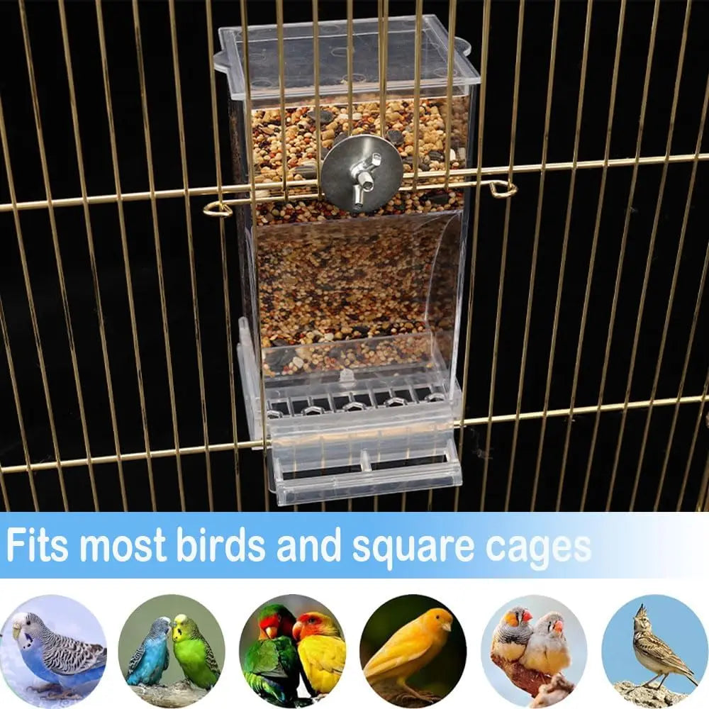 Automatic Bird Feeder Transparent Food Container Cage Parrot Feeder Accessories