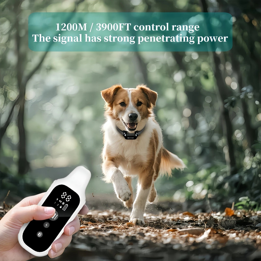 800m Digital Dog Training Collar Waterproof Rechargeable Remote Control Pet with LCD