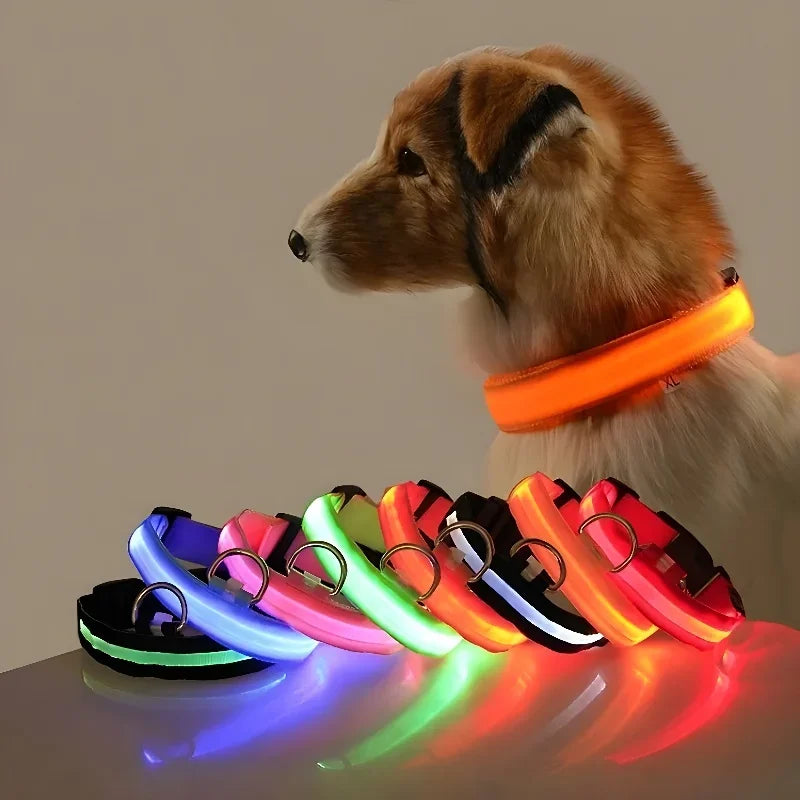 Dog Collar Nylon LED Night Safety Flashing Glow In The Dark Pet Dog Leash pet Dogs