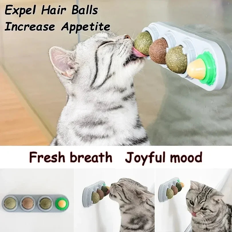 4 in 1 Rotating Catnip Silver Vine Ball Teeth Cleaning Acne Prevention Digestive Health Wall Stick