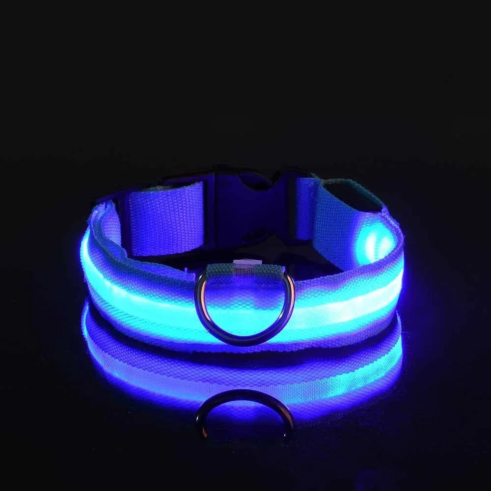 Dog Collar Nylon LED Night Safety Flashing Glow In The Dark Pet Dog Leash pet Dogs