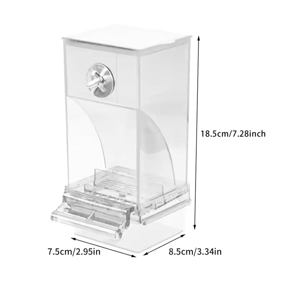 Automatic Bird Feeder Transparent Food Container Cage Parrot Feeder Accessories