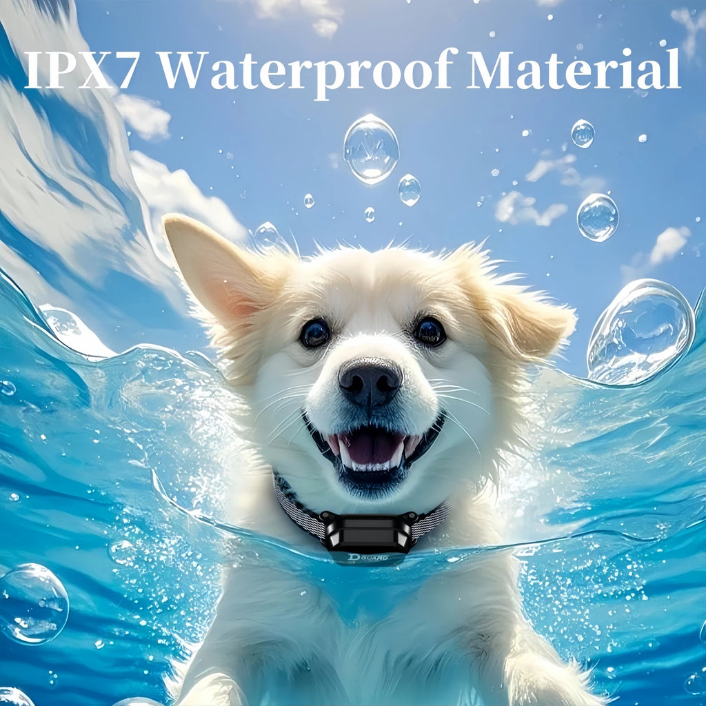 800m Digital Dog Training Collar Waterproof Rechargeable Remote Control Pet with LCD