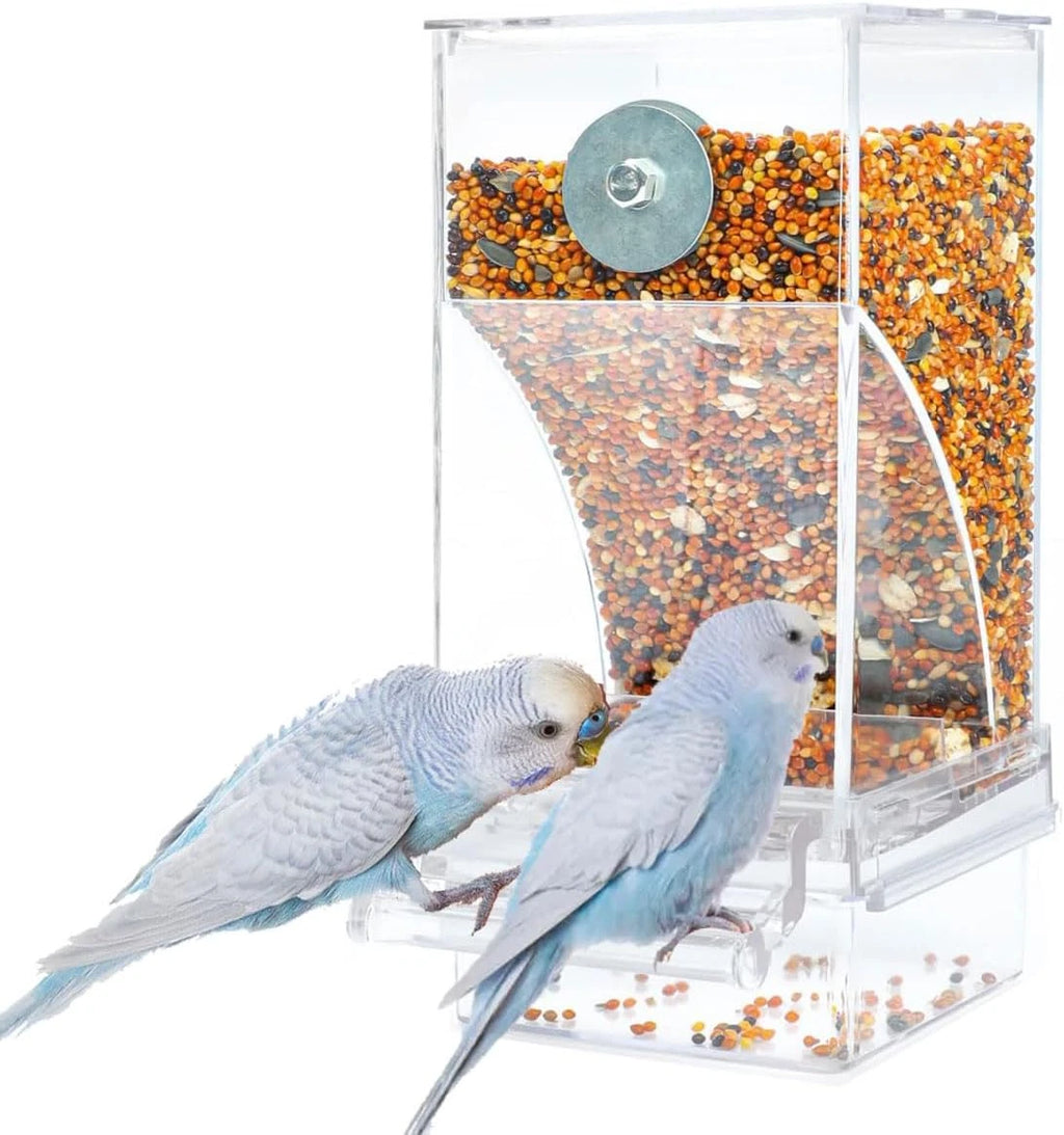 Automatic Bird Feeder Transparent Food Container Cage Parrot Feeder Accessories