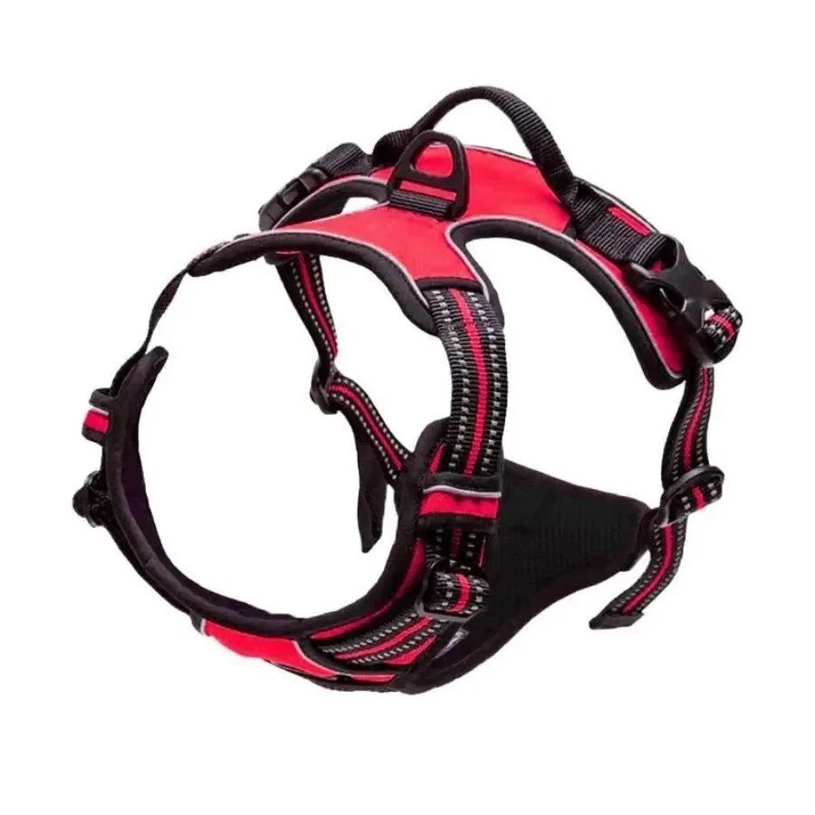 Dog Collar Harness Leash Set | Vest Puppy Accessories Small Medium Dogs USA